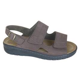 Solidus 12 - € 145