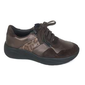 Solidus 31 - € 200