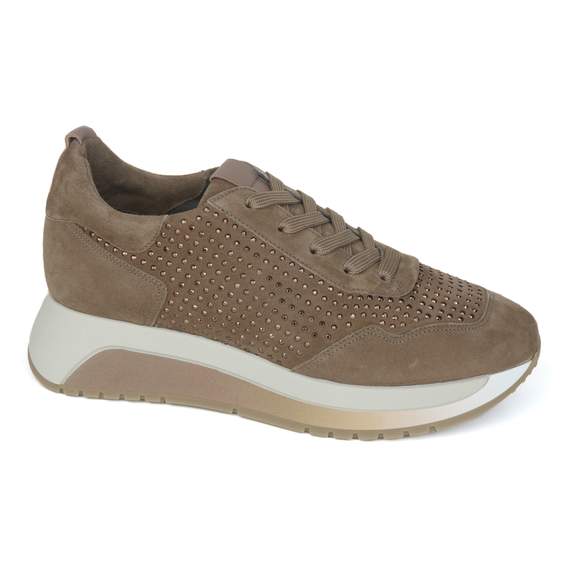 Softwaves 11 - € 210