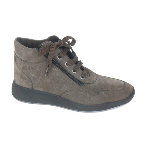 Solidus 6 - € 215