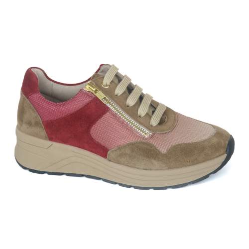 Solidus 7 - € 220