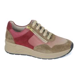 Solidus 39 - € 210