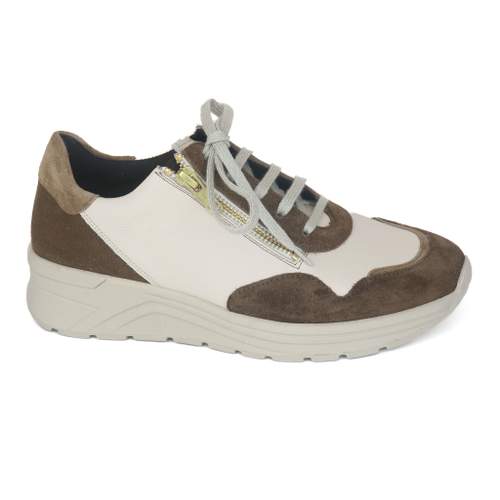 Solidus 8 - € 205
