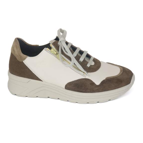 Solidus 40 - € 205