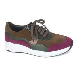 Solidus 43 - € 215