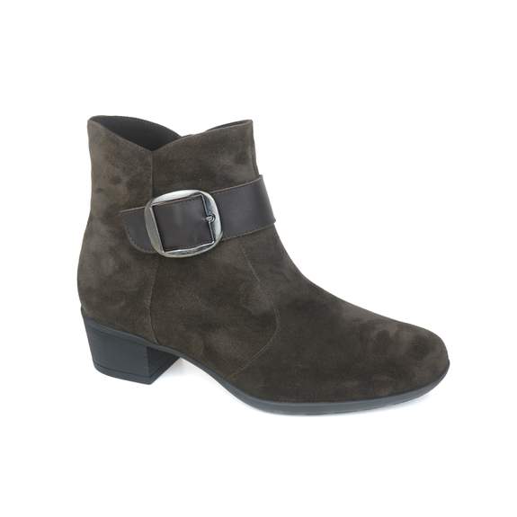 Solidus 47 - € 210