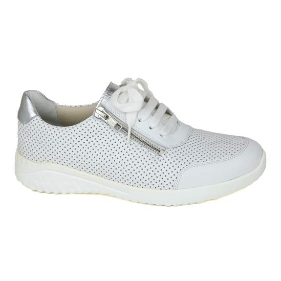 Solidus 7 - € 185