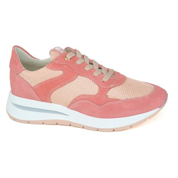 DL Sport 16 - € 185
