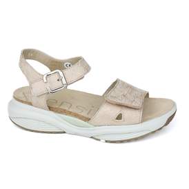 Xsensible 18 - € 180