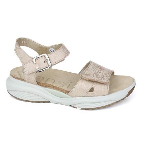 Xsensible 18 - € 180