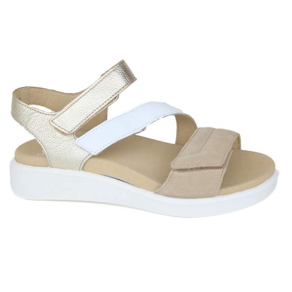 Ara 16 - € 100