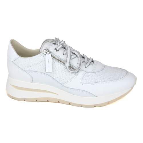 DL Sport 6 -  € 189