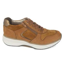 Xsensible 20 - € 250
