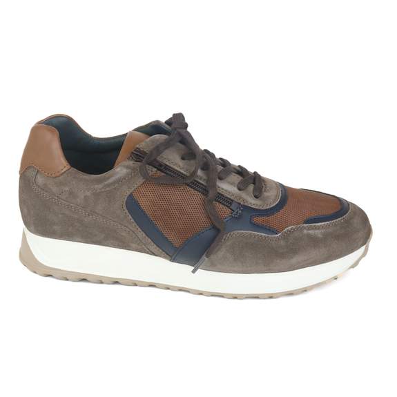 Solidus 14 - € 185