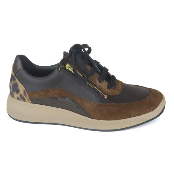Solidus 28 - € 210