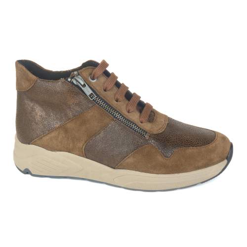 Solidus 32 - € 225