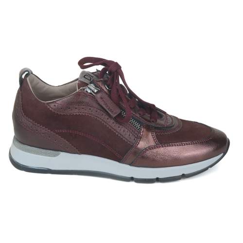 DL Sport 6 - € 199