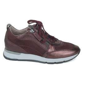 DL Sport 6 - € 199