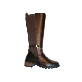 Solidus 38 - € 290