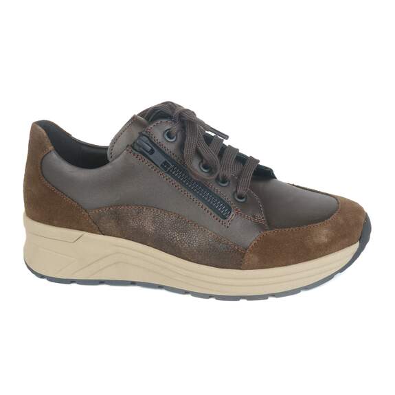 Solidus 43 - € 200