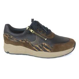 Solidus 47 - € 220