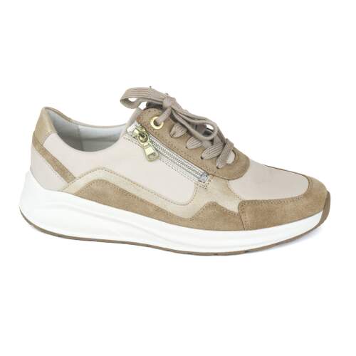 Solidus 49 - € 190