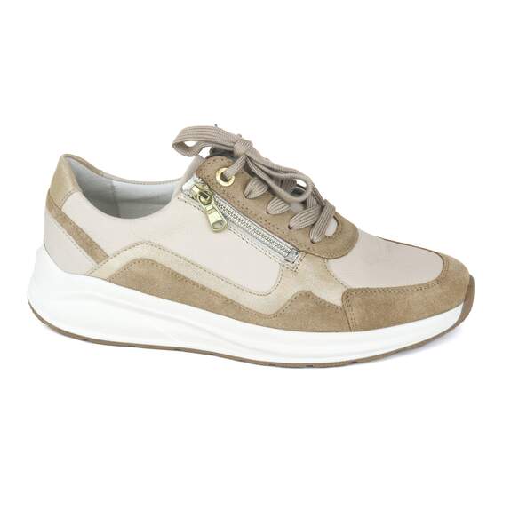 Solidus 49 - € 190