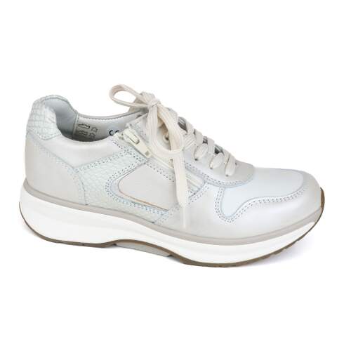 Xsensible 6 - € 260