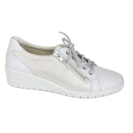 Solidus 14 - € 190