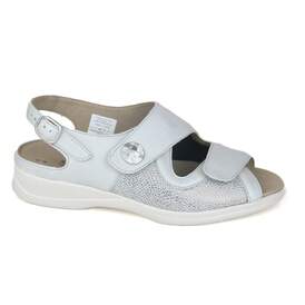 Solidus 15 - € 155
