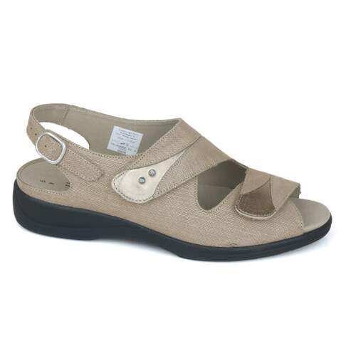 Solidus 16 - € 160