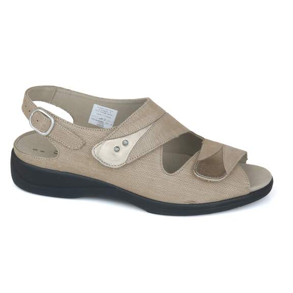 Solidus 16 - € 160