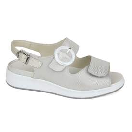 Solidus 19 - € 170