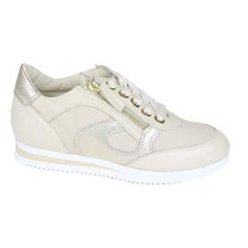 DL Sport 10 - € 199