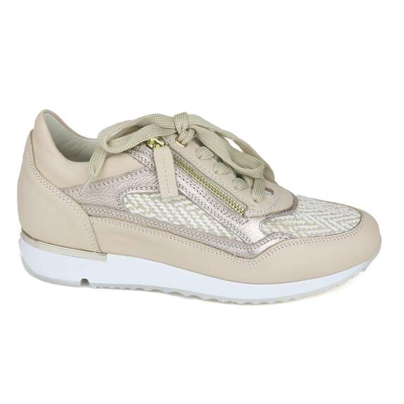 DL Sport 18 - € 199