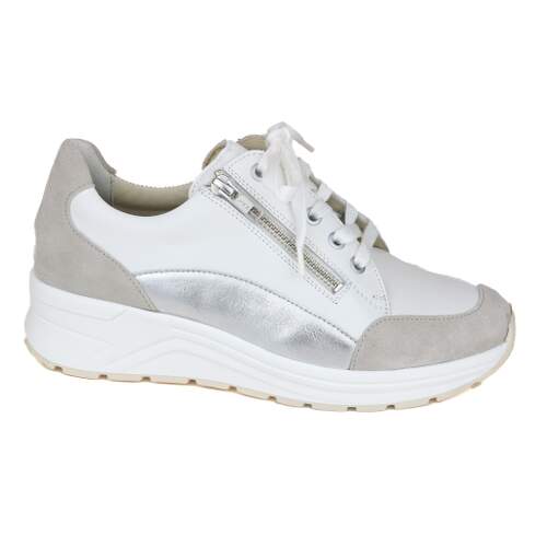 Solidus 23 - € 200