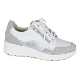 Solidus 23 - € 200