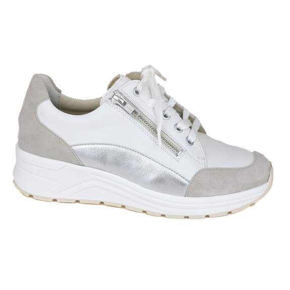 Solidus 23 - € 200
