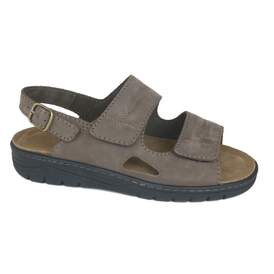 Solidus 20 - € 145