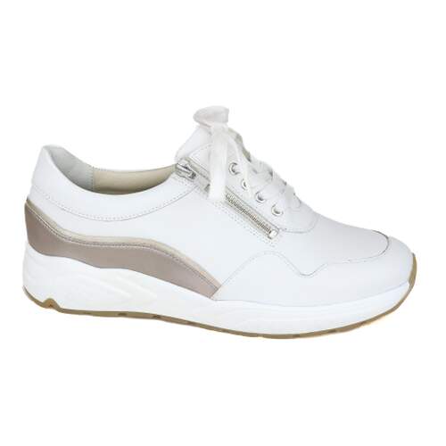 Solidus 24 - € 210