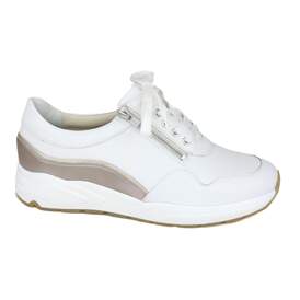 Solidus 24 - € 210
