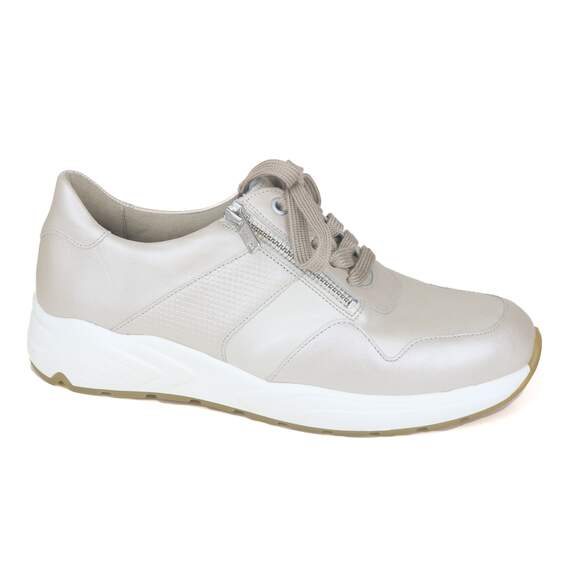 Solidus 25 - € 210