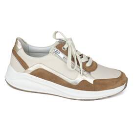 Solidus 26 - € 200