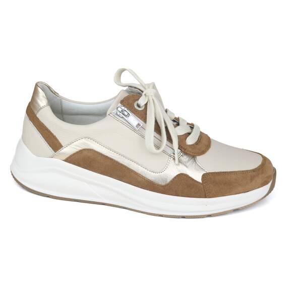 Solidus 26 - € 200