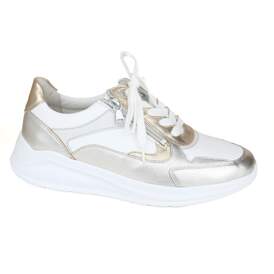 Solidus 29 - € 200
