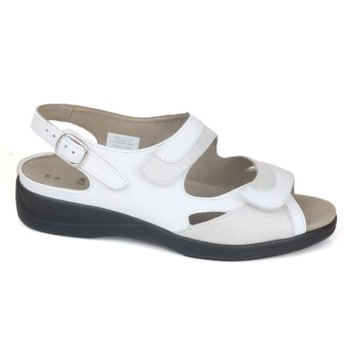 Solidus 30 - € 150