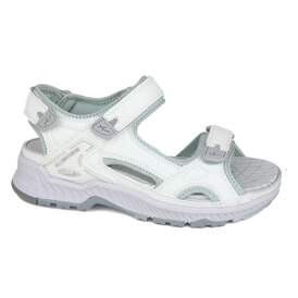 Allrounder 8 - € 130
