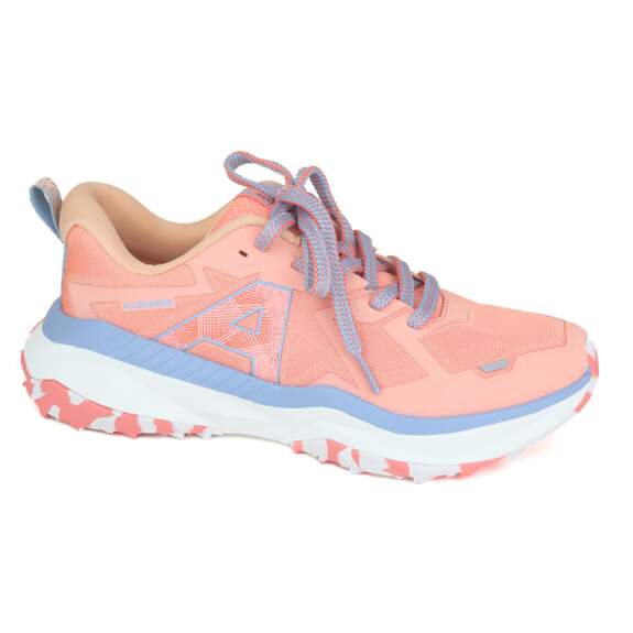 Allrounder 16 - € 165