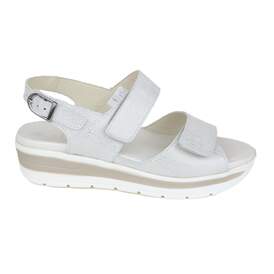 Solidus 35 - € 145