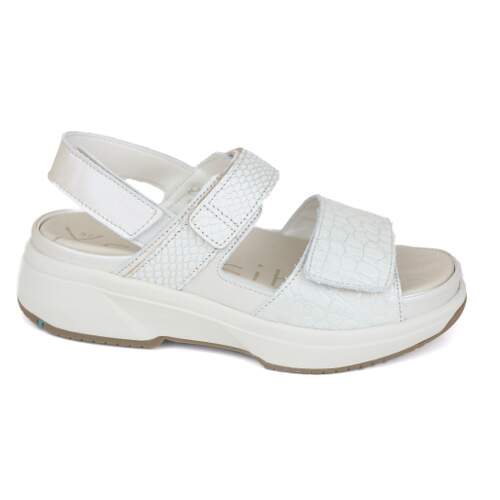 Xsensible 27 - € 200